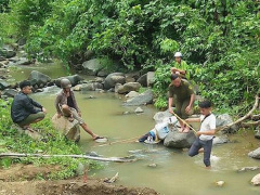 Ảnh bìa bài viết 656737