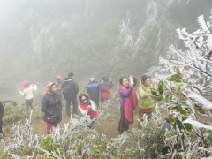 Ảnh bìa bài viết 656839