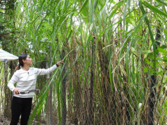 Ảnh bìa bài viết 656844