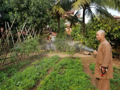 Ảnh bìa bài viết 657063