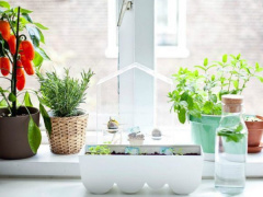 Ảnh bìa bài viết 657044