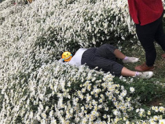 Ảnh bìa bài viết 657208