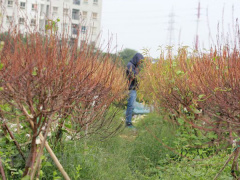 Ảnh bìa bài viết 657283