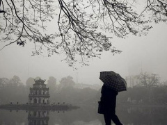 Ảnh bìa bài viết 657692