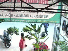 Ảnh bìa bài viết 657736