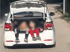 Ảnh bìa bài viết 657715