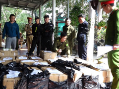 Ảnh bìa bài viết 657698