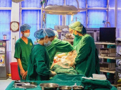 Ảnh bìa bài viết 657854