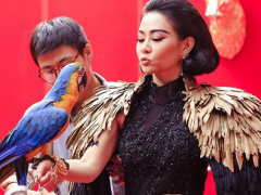Ảnh bìa bài viết 657855