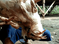 Ảnh bìa bài viết 658255