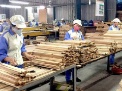 Ảnh bìa bài viết 658207