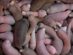 Ảnh bìa bài viết 658506