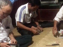 Ảnh bìa bài viết 658737