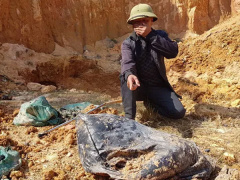 Ảnh bìa bài viết 658922