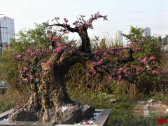Ảnh bìa bài viết 659029