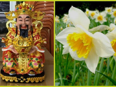 Ảnh bìa bài viết 659192