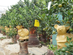 Ảnh bìa bài viết 659287