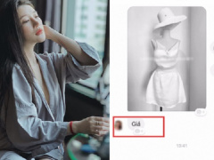 Ảnh bìa bài viết 659420