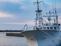 Ảnh bìa bài viết 659398