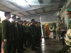 Ảnh bìa bài viết 659463