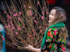 Ảnh bìa bài viết 659423