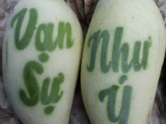 Ảnh bìa bài viết 659402