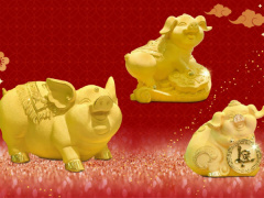 Ảnh bìa bài viết 659547