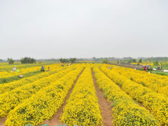 Ảnh bìa bài viết 659795