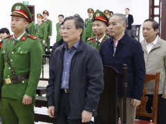 Ảnh bìa bài viết 659898