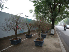 Ảnh bìa bài viết 659881