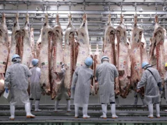 Ảnh bìa bài viết 659905