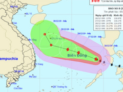 Ảnh bìa bài viết 660170