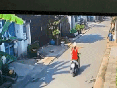 Ảnh bìa bài viết 660164