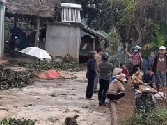 Ảnh bìa bài viết 660163