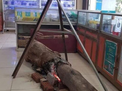 Ảnh bìa bài viết 660588