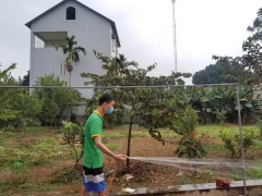 Ảnh bìa bài viết 660779