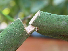 Ảnh bìa bài viết 660876