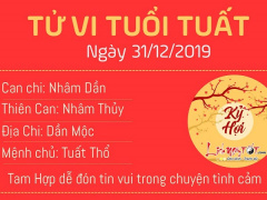 Ảnh bìa bài viết 660768