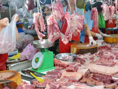 Ảnh bìa bài viết 661113