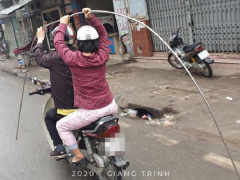 Ảnh bìa bài viết 661480
