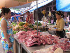 Ảnh bìa bài viết 661576
