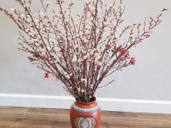 Ảnh bìa bài viết 661532