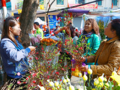 Ảnh bìa bài viết 661851