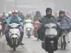 Ảnh bìa bài viết 662127