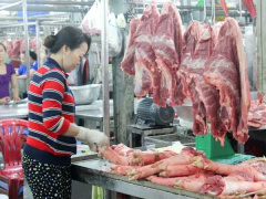 Ảnh bìa bài viết 662499