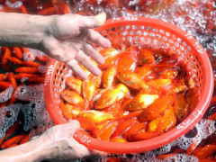 Ảnh bìa bài viết 662975
