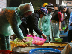 Ảnh bìa bài viết 663018