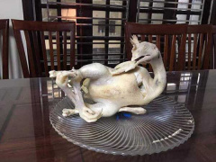 Ảnh bìa bài viết 663101