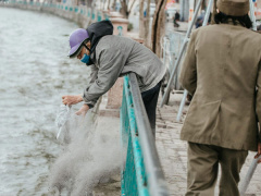 Ảnh bìa bài viết 663134