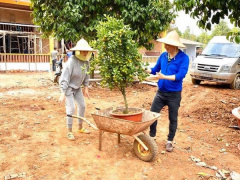 Ảnh bìa bài viết 663199